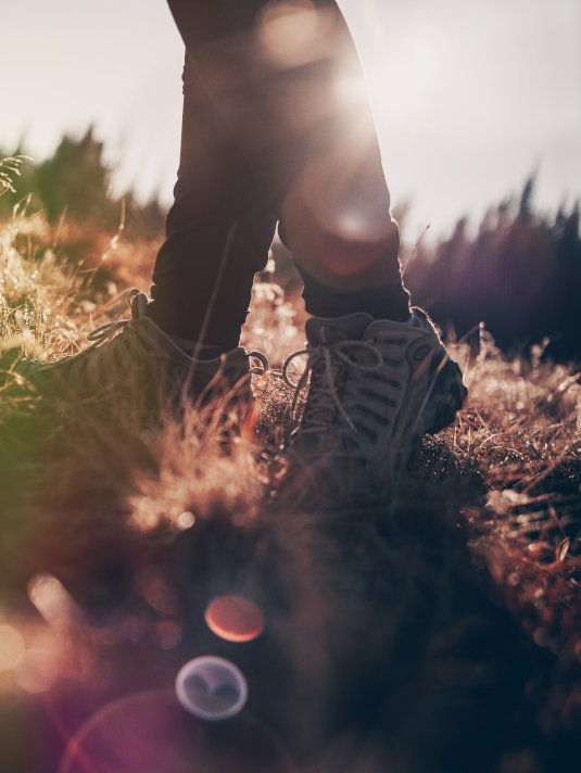 Bio Berg Shirts, Hoodies und mehr fürs Wandern, die Berge und Bergfreunde. Nachhaltiges Berg Geschenk für die Bergtour, Bergsteiger und Bergliebhaber. Personalisierte Berg Geschenke, Wander Geschenke und Geschenkideen für Bergsteiger, Wanderer und Bergfreunde. Bio Berg T-Shirt Herren und Berg T-Shirt Damen mit tollen Berg Motiven hier bestellen.